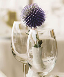 thistle-in-glass-tall